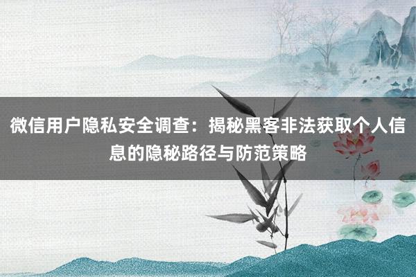 微信用户隐私安全调查：揭秘黑客非法获取个人信息的隐秘路径与防范策略