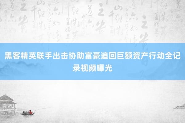黑客精英联手出击协助富豪追回巨额资产行动全记录视频曝光