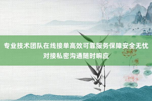 专业技术团队在线接单高效可靠服务保障安全无忧对接私密沟通随时响应
