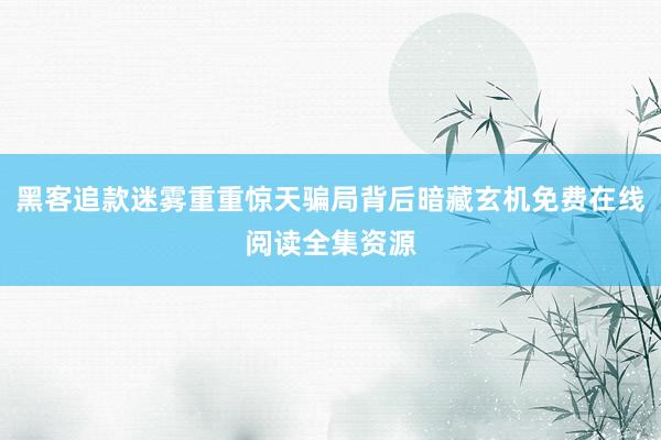 黑客追款迷雾重重惊天骗局背后暗藏玄机免费在线阅读全集资源